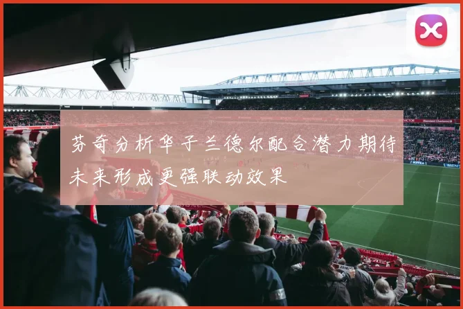 芬奇分析华子兰德尔配合潜力期待未来形成更强联动效果